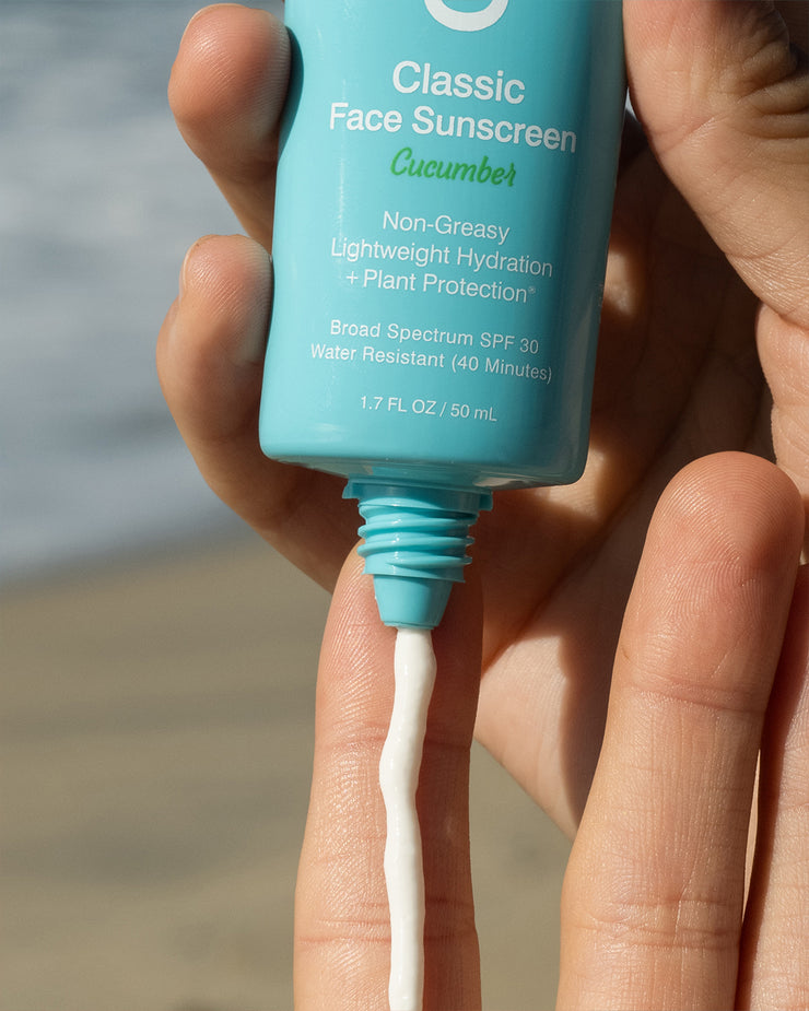 Close-up of COOLA Classic Face Sunscreen Lotion Cucumber SPF 30 being dispensed on finger with scenic ocean background