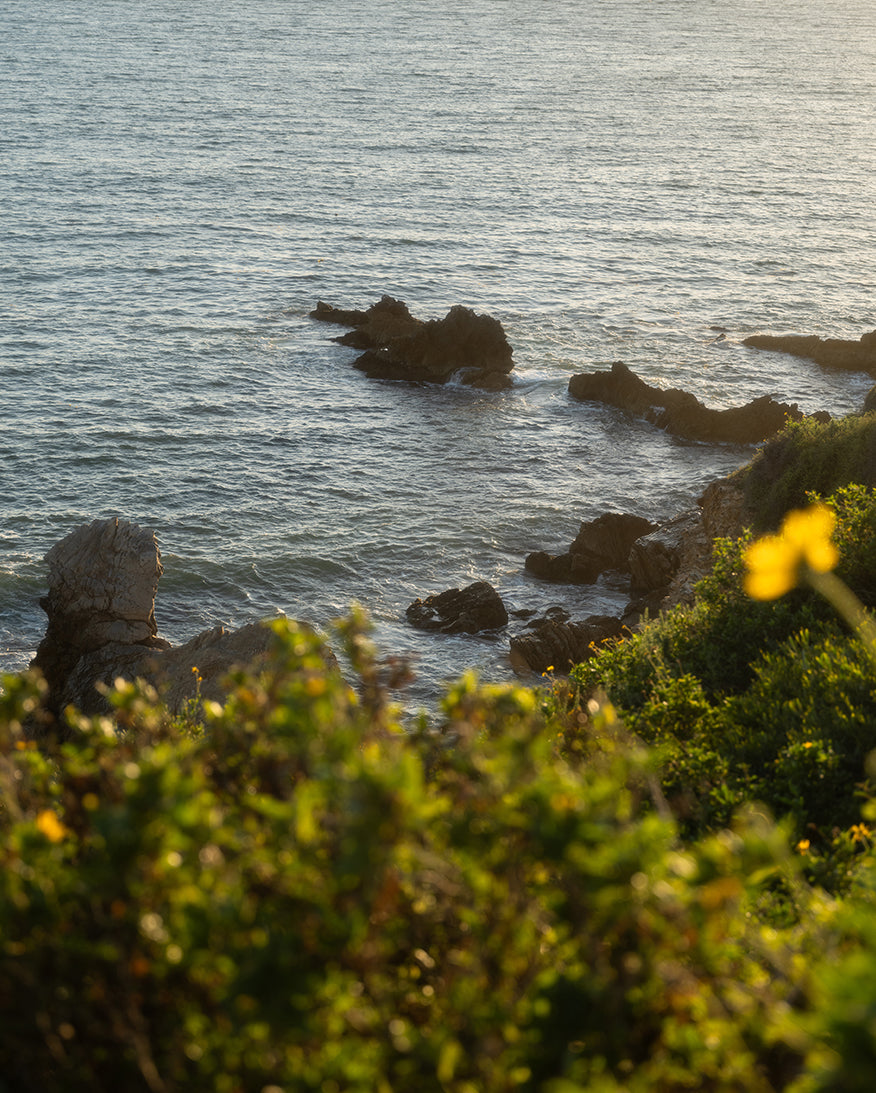 Scenic coastline with green brush in the foreground and rocks along with water