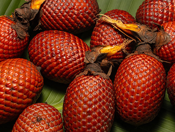 Red scaled fruits on palm fronds