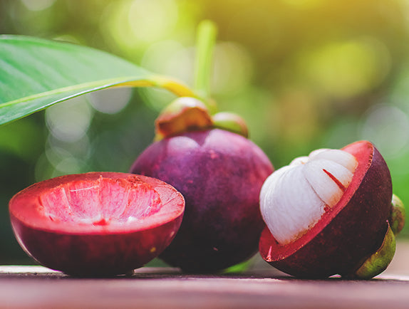 Jasmine Mangosteen with blurred background