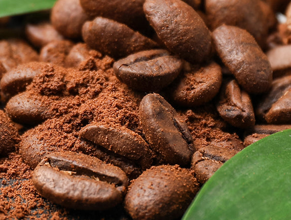 Close-up of coffee beans sitting on green leaf