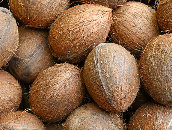 Collection of coconuts