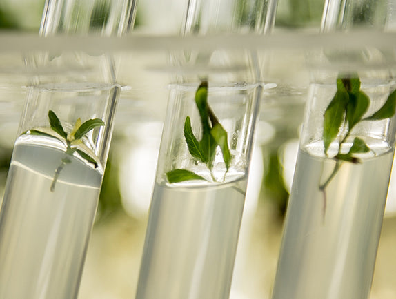 Plant particles in glass test tubes