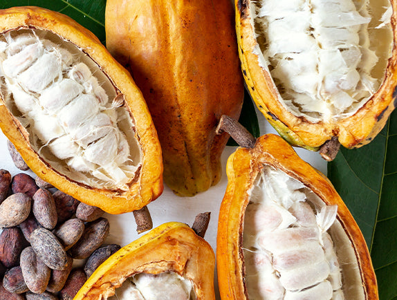 White cacao seeds in cacao fruit