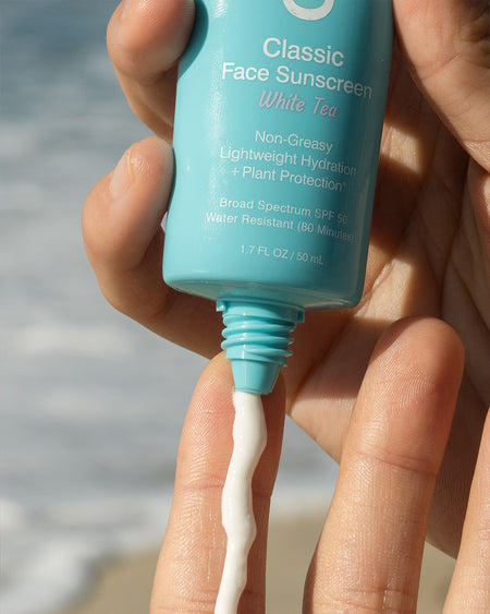 Face Sunscreen Lotion - White Tea