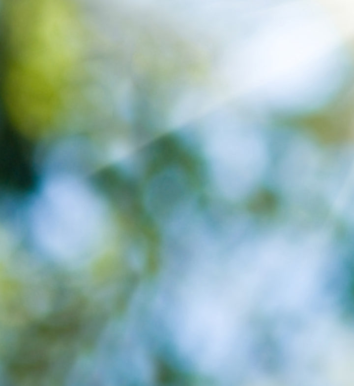 Blurred natural scene with green and blue hues